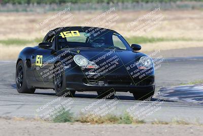 media/May-03-2024-PCA Central Coast (Fri) [[eaa7da0ee1]]/Yellow Group/Session 1 (Grapevine)/